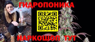 мдпв Рузаевка