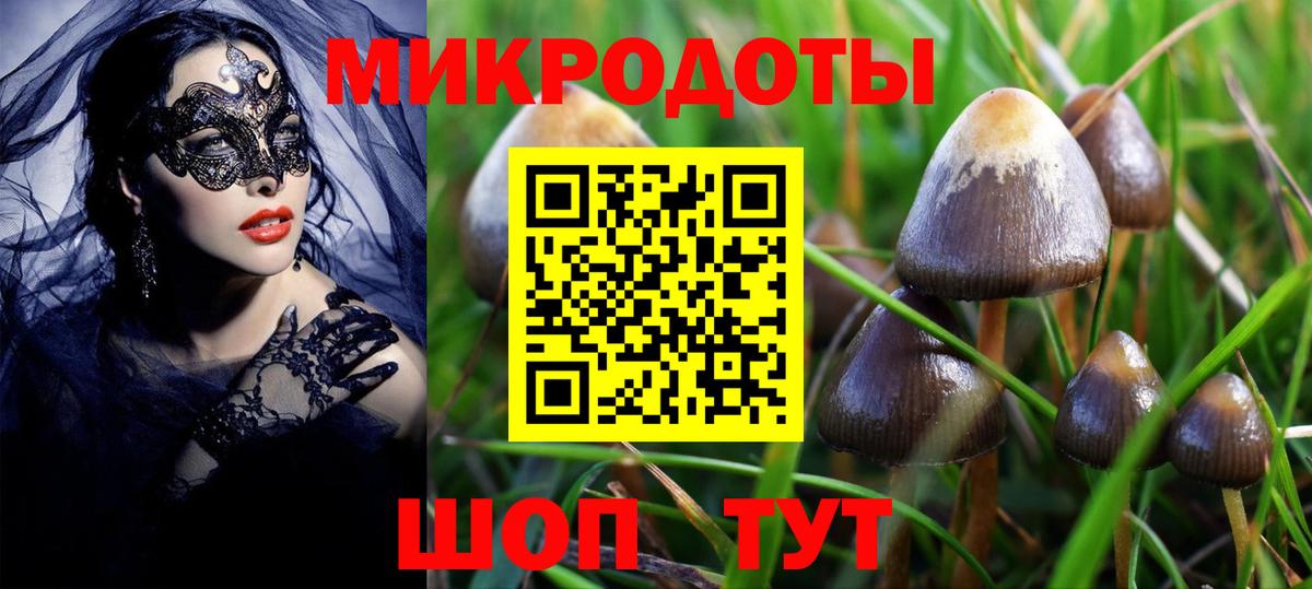 Галлюциногенные грибы Psilocybine cubensis Подольск