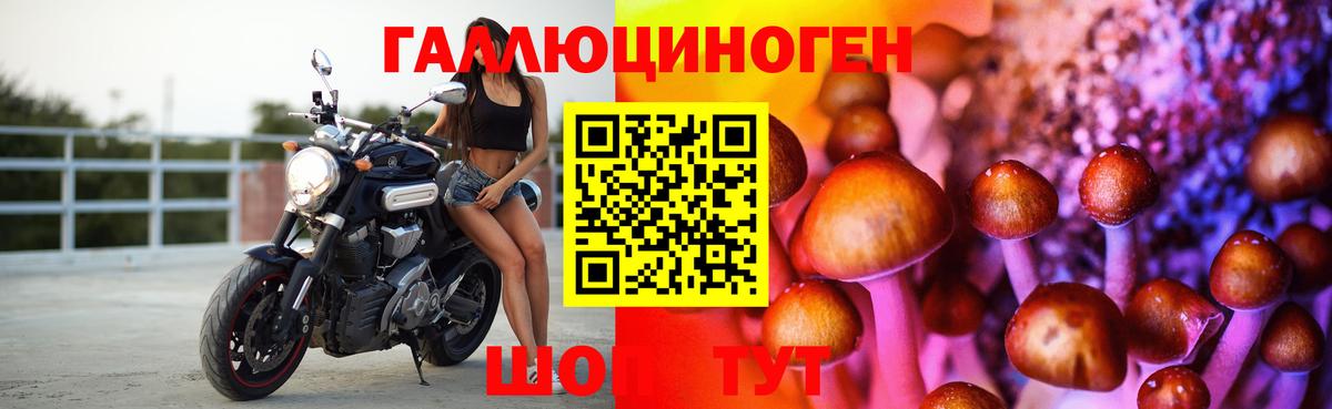Подольск  закладки  Вход с VPN  Псилоцибиновые грибы ЛСД 